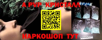 крисы Камышлов