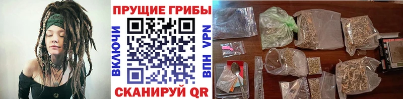 купить наркотики сайты  Менделеевск  Галлюциногенные грибы прущие грибы 