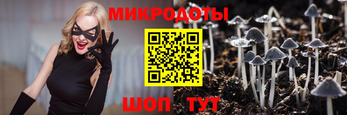 Менделеевск  Галлюциногенные грибы Psilocybine cubensis  даркнет сайт  Вход с VPN 